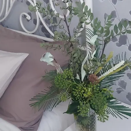 The Plaza De Garaje Gratis アパート