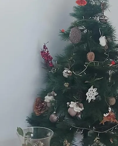 The Plaza De Garaje Gratis * Хервас